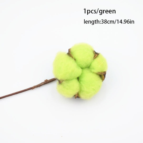 10 couleurs branche fleur de coton naturel séchée